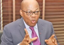 Creation Of New States Won't Reverse Hunger, Insecurity And Poverty In The Land - Agbakoba