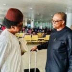 2027: 'Stay In Labour Party, Don’t Chase Two Rabbits' - Shehu Sani Advises Peter Obi