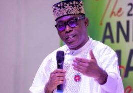 2027: If Things Remain This Way, Tinubu Should Just Go Home - Adebayo