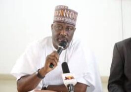 'PDP Did Not Sack Damagum, We Are Law-abiding' - Dino Melaye