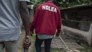 49 Arrested As NDLEA Raids Key Areas In Kano Over Drug-Related Offences