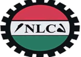 'We Are Struggling For Better Working Conditions For Nigerian Workers' - NLC Gives Update On New Minimum Wage
