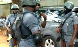 Customs Intercepts ₦48.5 Million Cannabis, ₦220m Worth Of Contraband Goods In Kaduna
