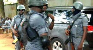 Customs Intercepts ₦48.5 Million Cannabis, ₦220m Worth Of Contraband Goods In Kaduna
