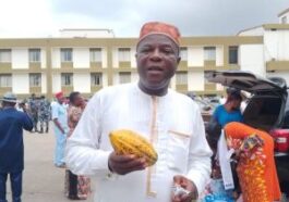 ‘Strange Cars Monitoring My House, They Want To Kill Me' - Ex-Gov’s Aide Cries Out
