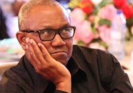 When Have You Turned Into A Private Investigator? Presidency Fires Peter Obi Over Demands On Onitsha Bridge Head Market
