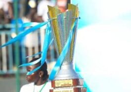 2024–2025 NPFL Season After Matchday 37: Ikorodu Miss Out, Remo Celebrate, Relegation Tension Builds