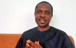 Power Sector Privatization Was Marred By Political Interference - Tonye Cole