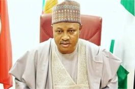 Police Summon Kaduna Senator Over Alleged Threats Against Gov. Sani