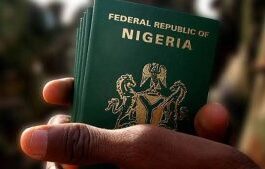 NIS Rolls Out Digital Passport Renewal For Diaspora, Begins In Europe