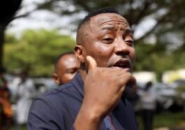 'Guardians Of Justice Reduced To Seeking Clearance' - Sowore Kicks Against DSS Screening Of SAN Designates