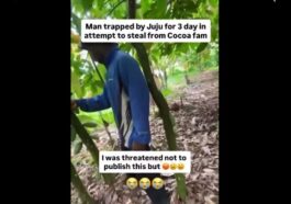 Who Said Juju No Dey Man Trapped for 3 Days by Charm While Trying to Steal Cocoa in Ghana