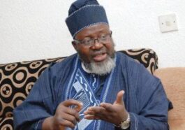 Next Level: Adebayo Shittu Breaks Silence On Missing Buhari Ministerial List