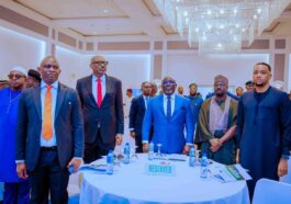 BREAKING: Oborevwori seeks energy investments for Delta at REA roundtable