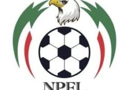 Breaking: Enugu Rangers Emerge NPFL Champions