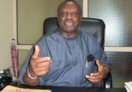 2023 Elections Left Nigeria, Tinubu With A Badly Damaged Image - Obong Attah
