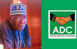 Tinubu Trying To Whitewash His Nepotism - ADC Tackles President