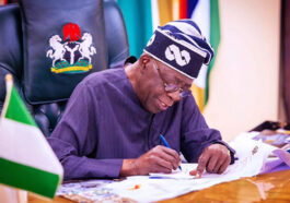 Shea Butter Ban: Experts split over Tinubu’s six-month executive order