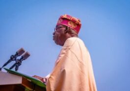 Benue Killing: Asking Us To Seek Reconciliation Means You Know Those Who Attacked Us - Former Lawmaker To Tinubu